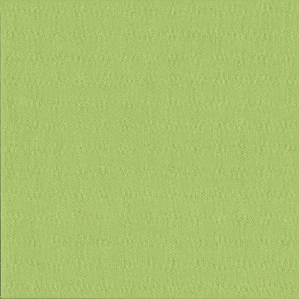 Makower - Spectrum solids - Uni-Webstoff pistachio grün