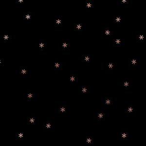 Reststück 56cmx112cm - Spark - Ruby Star Society - black metallic